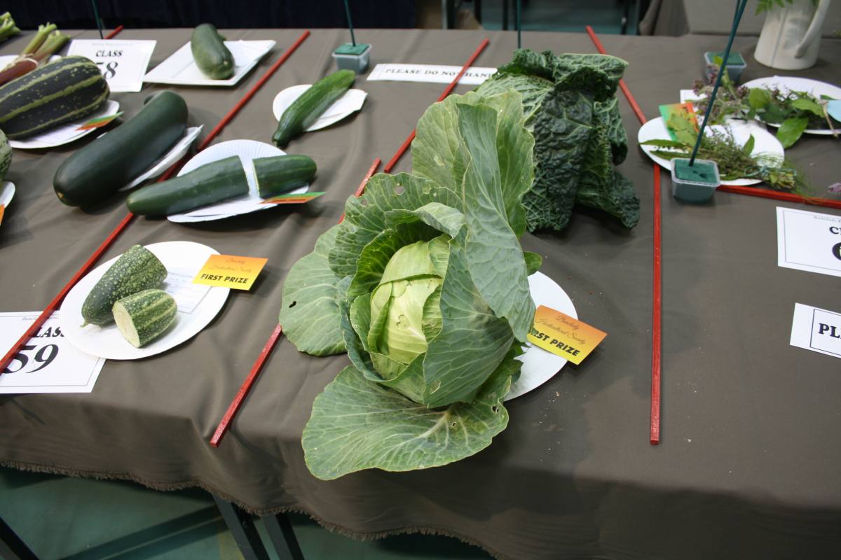 ../Images/Horticultural Show in Bunclody 2014--44.jpg